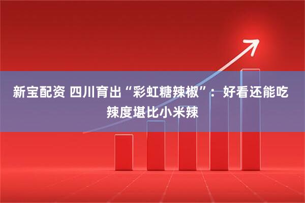 新宝配资 四川育出“彩虹糖辣椒”：好看还能吃 辣度堪比小米辣